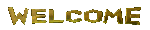 ��ٶ�